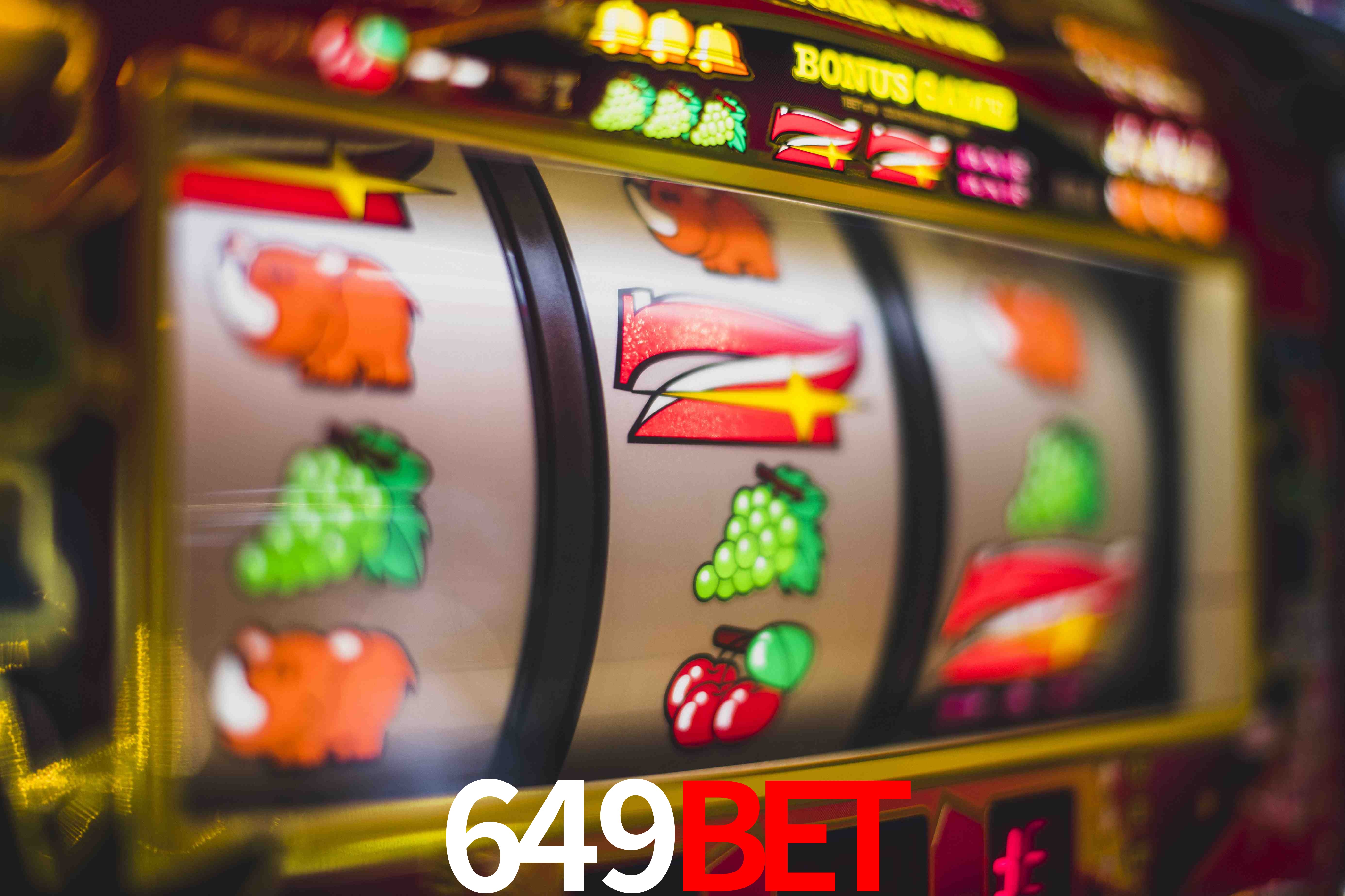Statistics 649bet